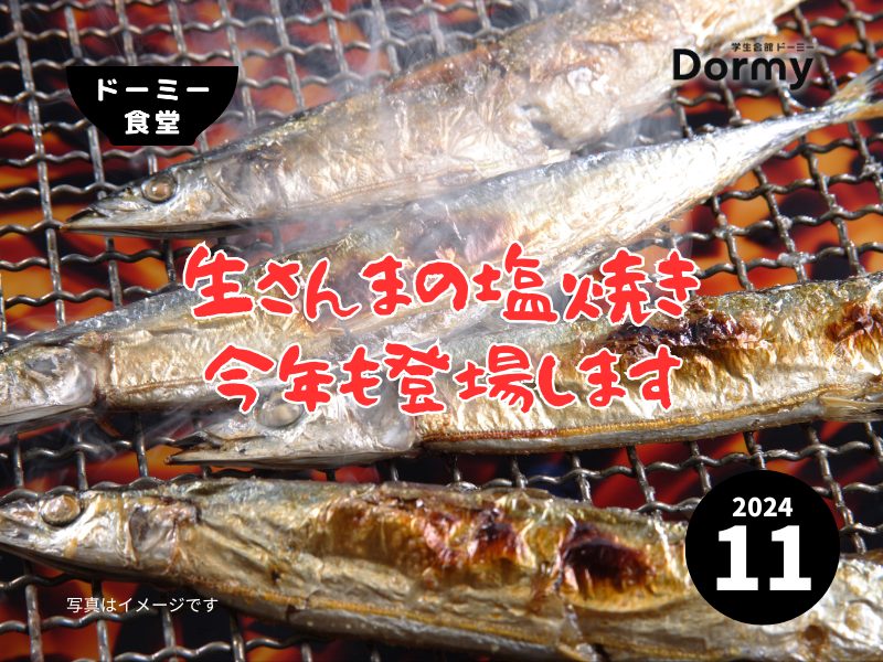 ドーミー食堂｜今月のおすすめメニュー・献立（2024年11月）